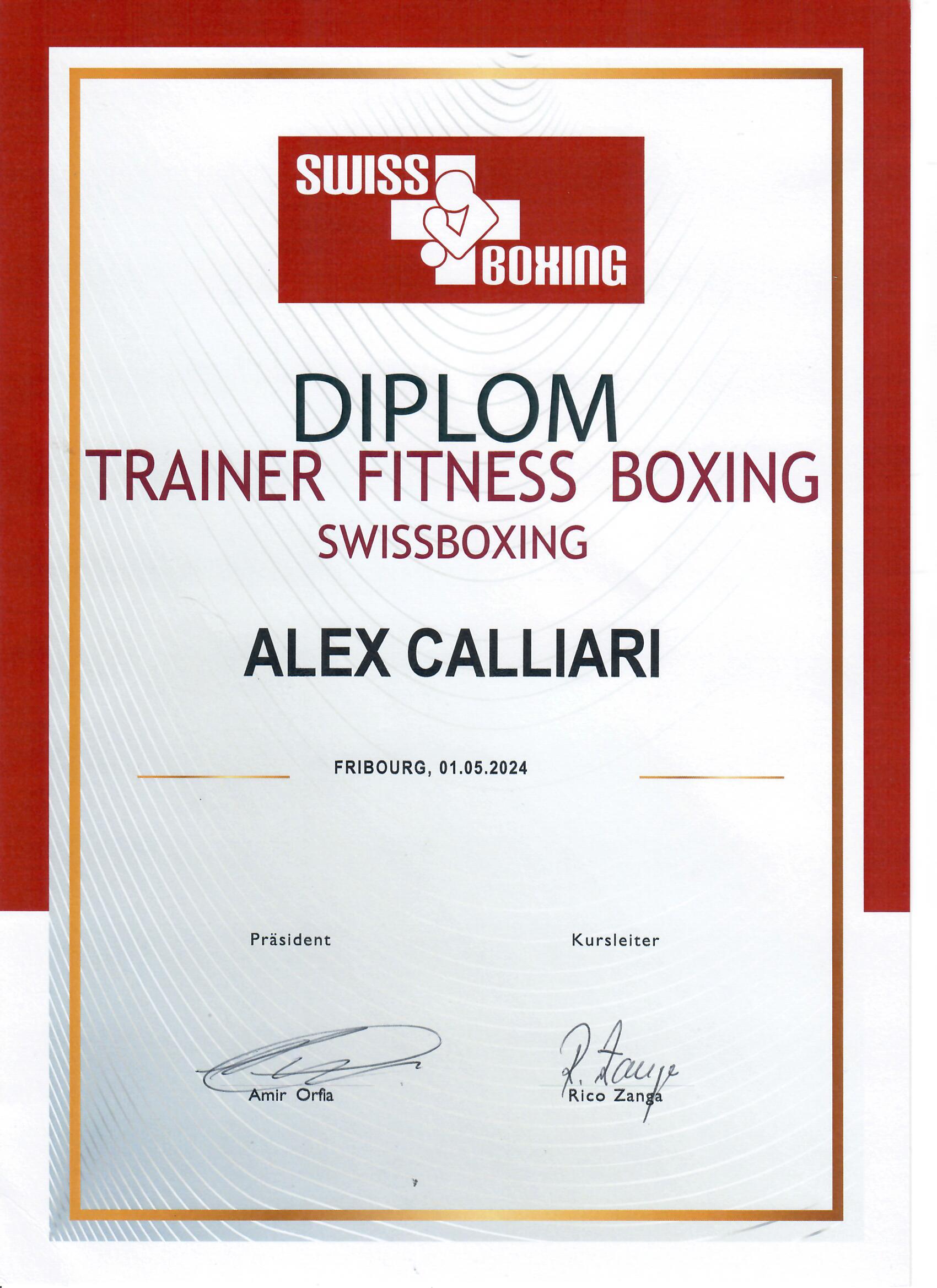 Diplom Fitnessboxtrainer 2024